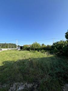 Annonce Vente Terrain Saint-selve 33