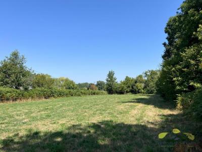Acheter Terrain 2140 m2 Eybouleuf