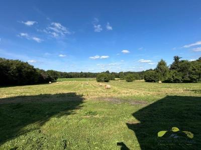 Annonce Vente 4 pices Maison Jonchere-saint-maurice 87