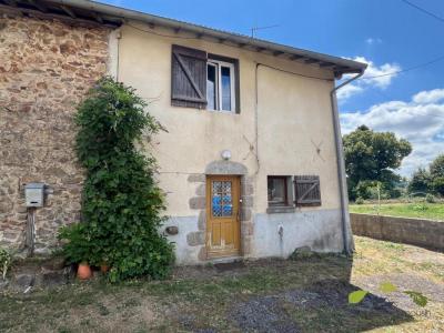 Annonce Vente 3 pices Maison Saint-leonard-de-noblat 87