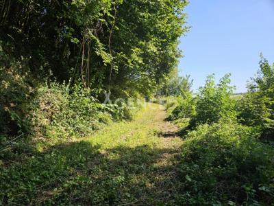 For sale Wavrans-sur-l'aa Pas de calais (62380) photo 4