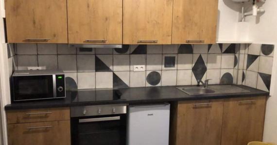 For rent Villeurbanne 1 room 25 m2 Rhone (69100) photo 0