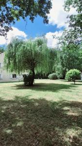 For rent Maurepas 3 rooms 76 m2 Yvelines (78310) photo 1