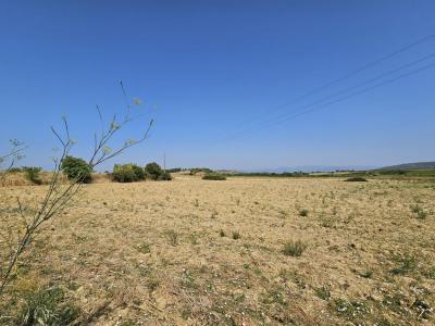 Annonce Vente 4 pices Maison  34