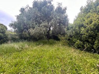 Annonce Vente 2 pices Maison  06