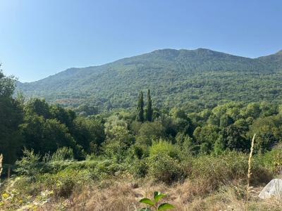 Acheter Terrain 