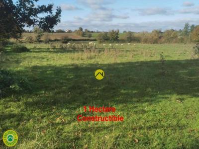 Annonce Vente Terrain Sancoins 18