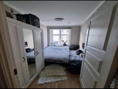 Annonce Location 2 pices Appartement Lyon-7eme-arrondissement 69