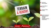 Vente Terrain Bois-de-nefles-saint-paul 9916 m2