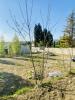 For sale Land Vacqueyras  1000 m2