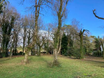 Annonce Vente Terrain Pluvigner 56