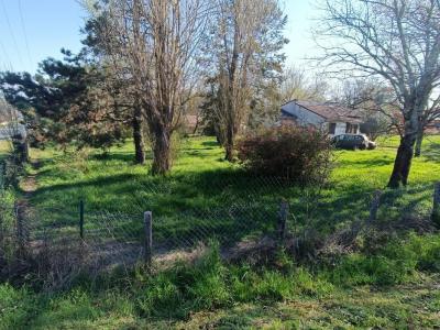 Annonce Vente 4 pices Maison Saint-savin 33