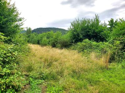 For sale 890 m2 Bas rhin (67420) photo 0