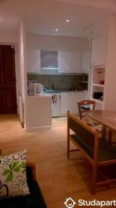 For rent Grenoble 2 rooms 50 m2 Isere (38000) photo 0