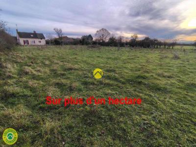 For sale Sancoins 3 rooms 100 m2 Cher (18600) photo 1