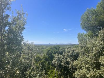 Annonce Vente 5 pices Maison Junas 30