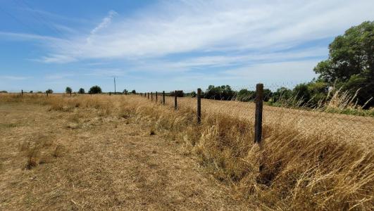 For sale 2890 m2 Charente maritime (17330) photo 2