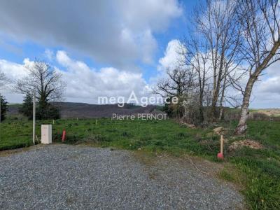 For sale Paulinet 1134 m2 Tarn (81250) photo 0