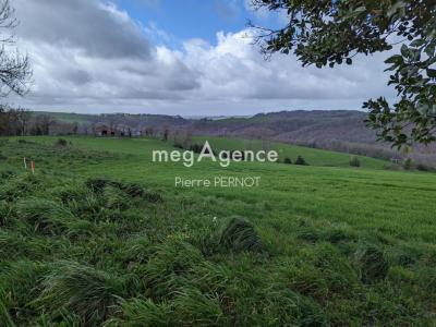 Acheter Terrain 1134 m2 Paulinet