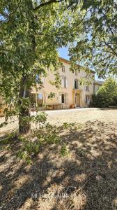 Acheter Maison 373 m2 Saint-papoul