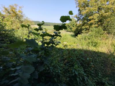 Annonce Vente 5 pices Maison Gevigney-et-mercey 70