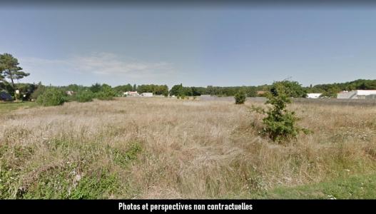 Annonce Vente Maison Soullans 85