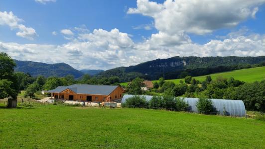 For sale Montbeliard 12 rooms 1000 m2 Doubs (25200) photo 0