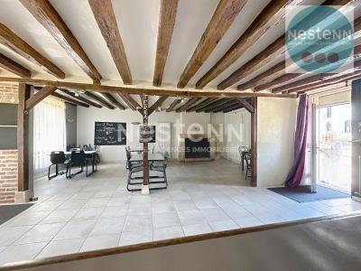 Acheter Local commercial Montils Loir et cher