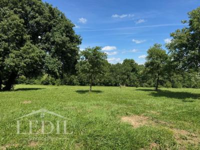 Acheter Maison 93 m2 Castelnau-d'auzan