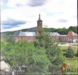 Acheter Maison Moyenmoutier 96000 euros