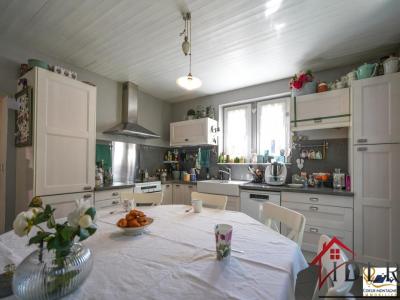 Acheter Maison 196 m2 Scionzier