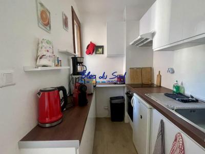 For rent Vernet-les-bains 1 room 24 m2 Pyrenees orientales (66820) photo 0