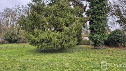Acheter Terrain Beautheil 77500 euros