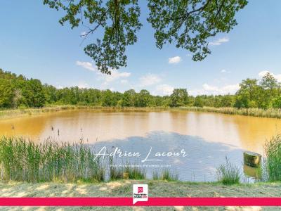 For sale Veilleins 25600 m2 Loir et cher (41230) photo 2