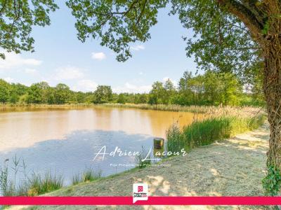 For sale Veilleins 25600 m2 Loir et cher (41230) photo 3