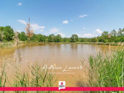 For sale Veilleins 25600 m2 Loir et cher (41230) photo 4