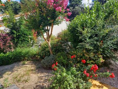 For sale Saint-georges-de-didonne 3 rooms 40 m2 Charente maritime (17110) photo 3