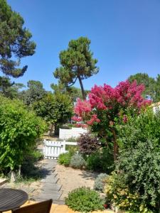 For sale Saint-georges-de-didonne 3 rooms 40 m2 Charente maritime (17110) photo 4