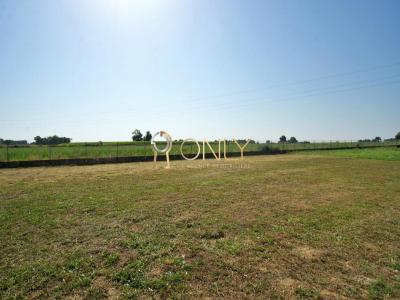 Annonce Vente 4 pices Maison Villeneuve 01