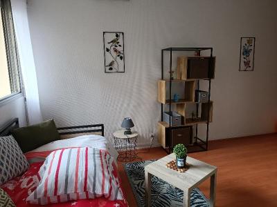 For rent Bordeaux 1 room 21 m2 Gironde (33000) photo 4