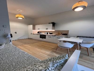 Annonce Location Appartement Lyon-8eme-arrondissement 69