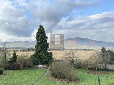 Annonce Vente 4 pices Appartement Selestat 67