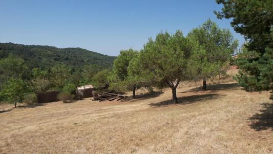 For sale Villefloure 1754 m2 Aude (11570) photo 2