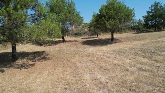 For sale Villefloure 1754 m2 Aude (11570) photo 3
