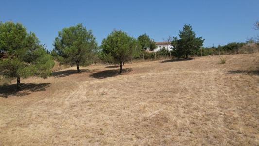 For sale Villefloure 1754 m2 Aude (11570) photo 4