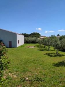 For sale Carcassonne 2 rooms 1650 m2 Aude (11000) photo 3