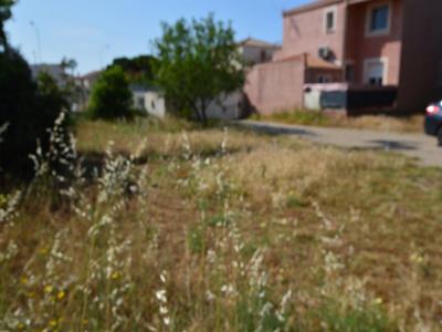 For sale Frontignan 308 m2 Herault (34110) photo 2
