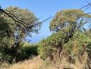 For sale Land Olmeto  7644 m2