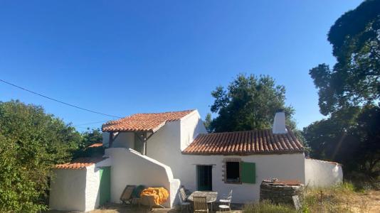 For sale Port-saint-pere 5 rooms 132 m2 Loire atlantique (44710) photo 1