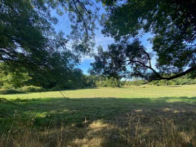 For sale Port-saint-pere 5 rooms 132 m2 Loire atlantique (44710) photo 3